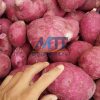 bột khoai lang tím