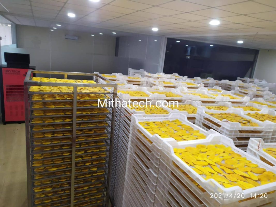 phòng sấy Mithatech