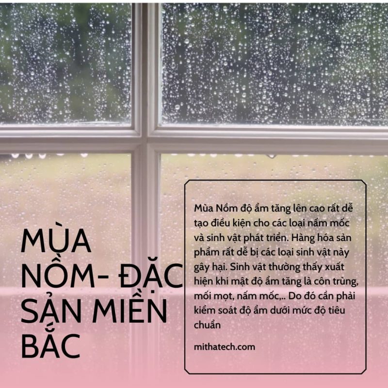 Tác hại của mùa nồm đến sản phẩm mây tre đan Tác hại của mùa nồm đến sản phẩm mây tre đan
