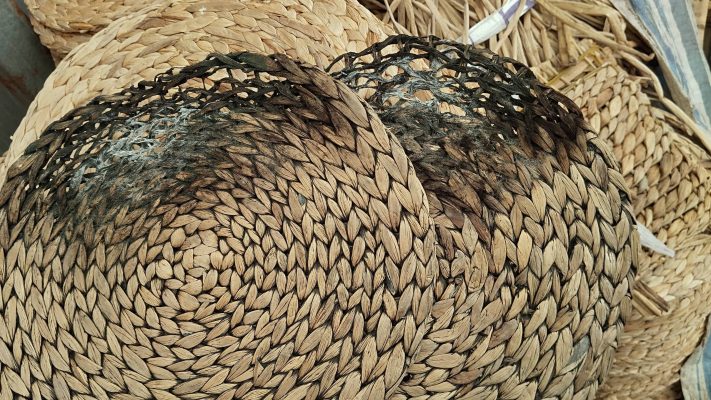 Mây tre bị mốc vào mùa nồm Mây tre bị mốc vào mùa nồm