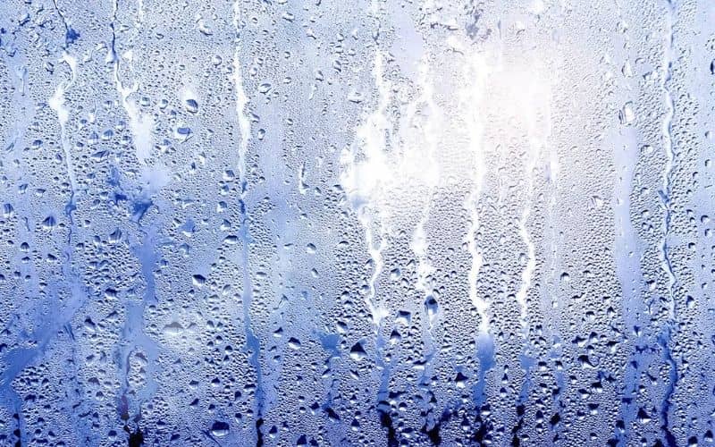 mùa nồm là gì? Nguyên nhân & cách khắc phục hiệu quả